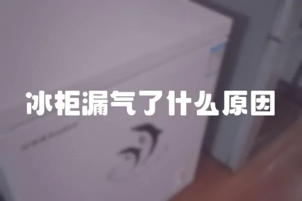 冰柜漏氣了什么原因