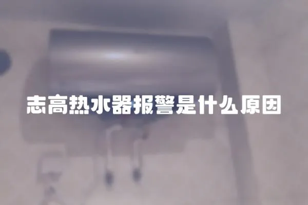 志高熱水器報警是什么原因