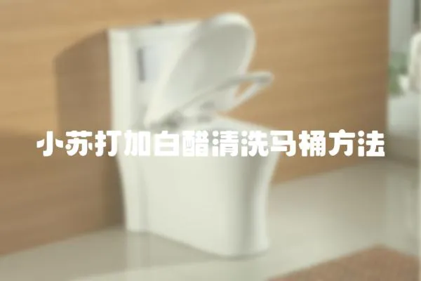 小蘇打加白醋清洗馬桶方法