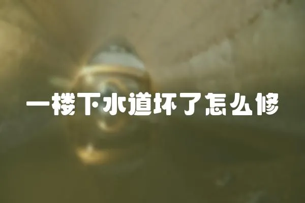 一樓下水道壞了怎么修