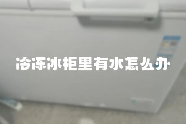 冷凍冰柜里有水怎么辦