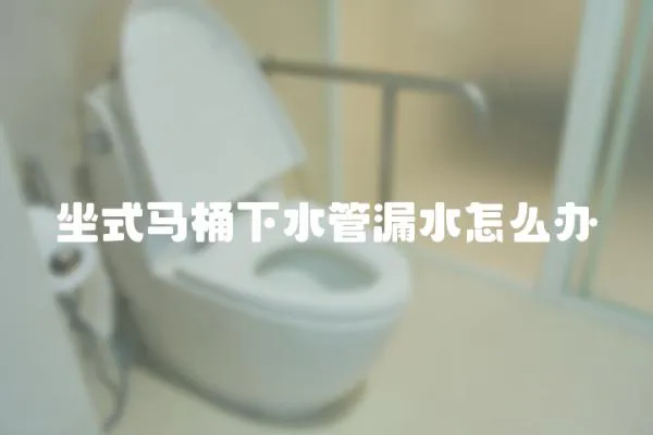 坐式馬桶下水管漏水怎么辦