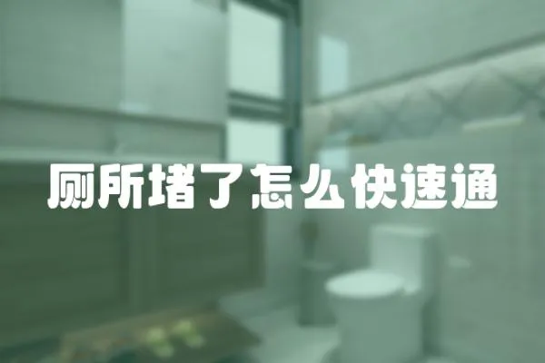 廁所堵了怎么快速通