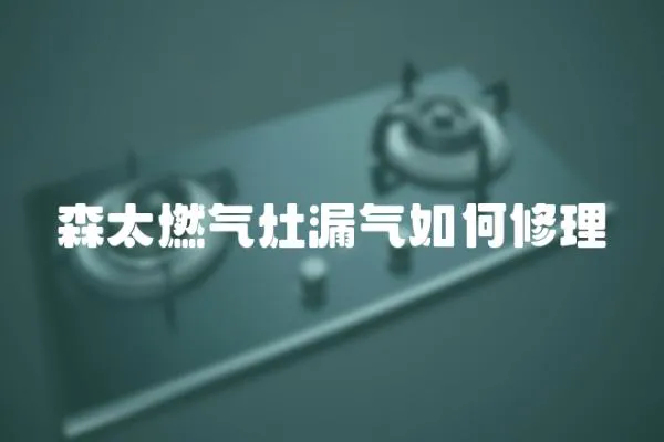 森太燃氣灶漏氣如何修理