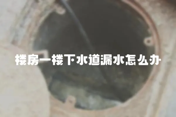 樓房一樓下水道漏水怎么辦