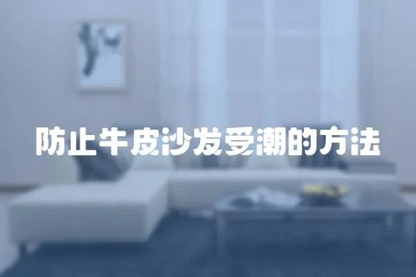 防止牛皮沙發(fā)受潮的方法