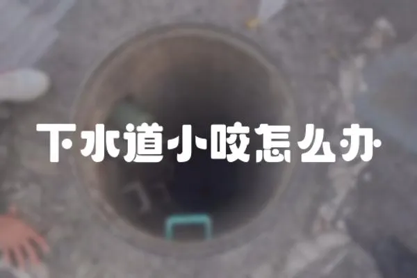 下水道小咬怎么辦