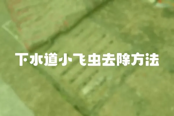 下水道小飛蟲去除方法