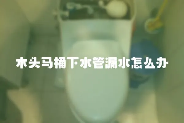 木頭馬桶下水管漏水怎么辦