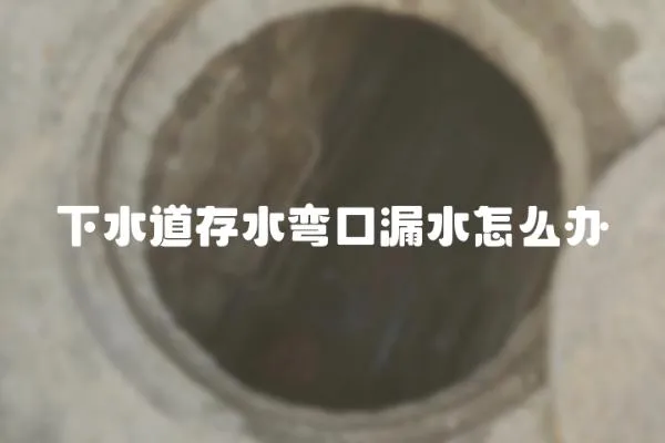 下水道存水彎口漏水怎么辦