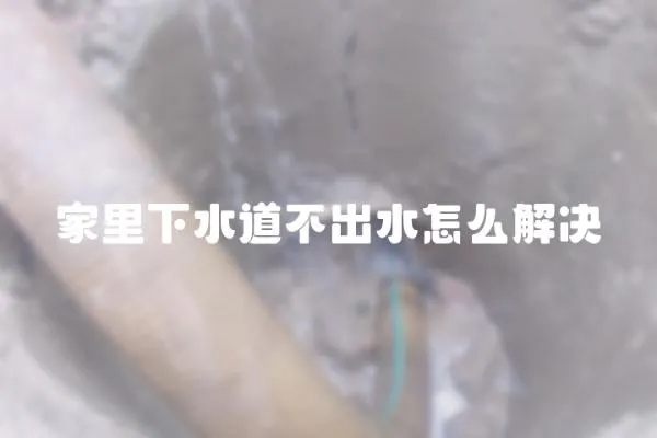 家里下水道不出水怎么解決