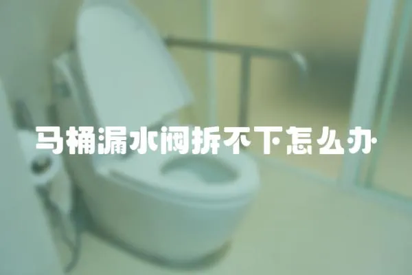 馬桶漏水閥拆不下怎么辦
