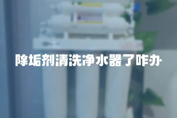 除垢劑清洗凈水器了咋辦