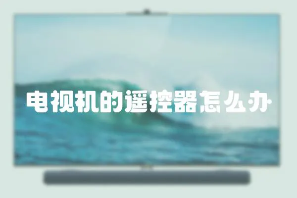 電視機的遙控器怎么辦