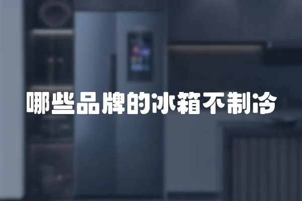 哪些品牌的冰箱不制冷
