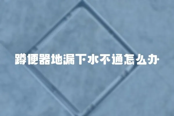 蹲便器地漏下水不通怎么辦