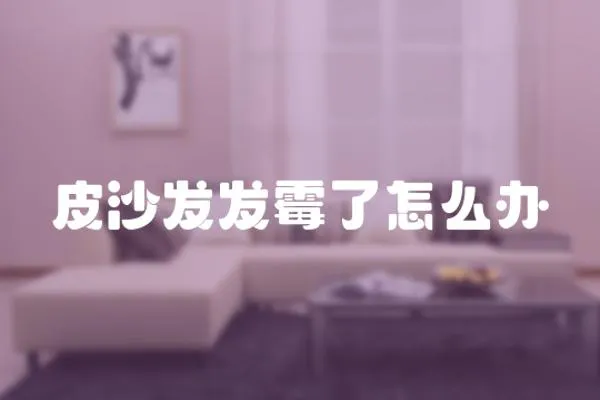 皮沙發(fā)發(fā)霉了怎么辦