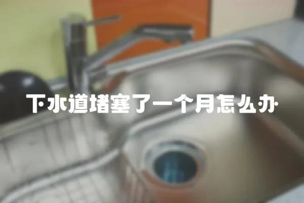 下水道堵塞了一個月怎么辦