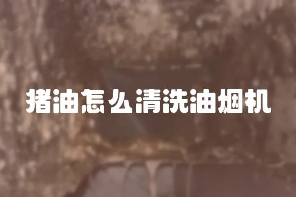 豬油怎么清洗油煙機
