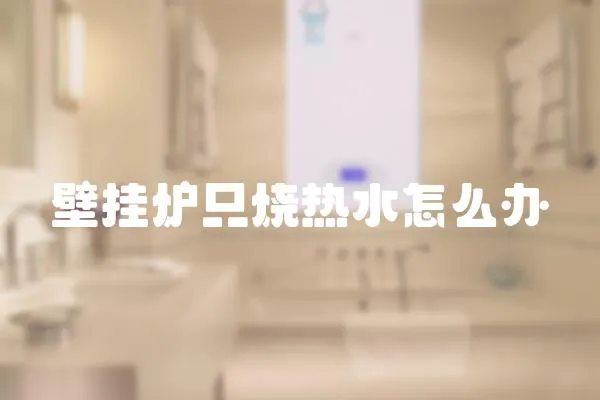 壁掛爐只燒熱水怎么辦