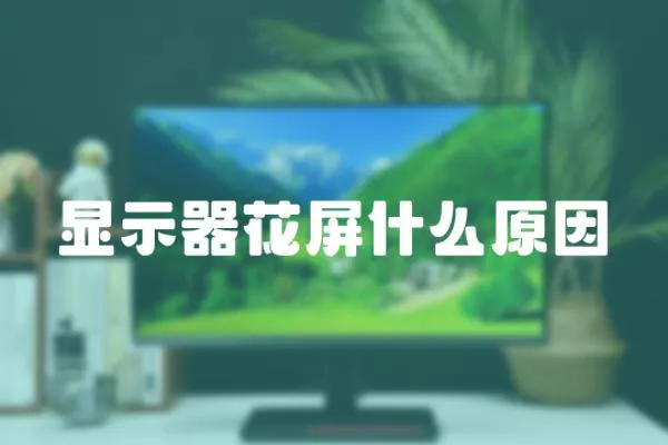 顯示器花屏什么原因