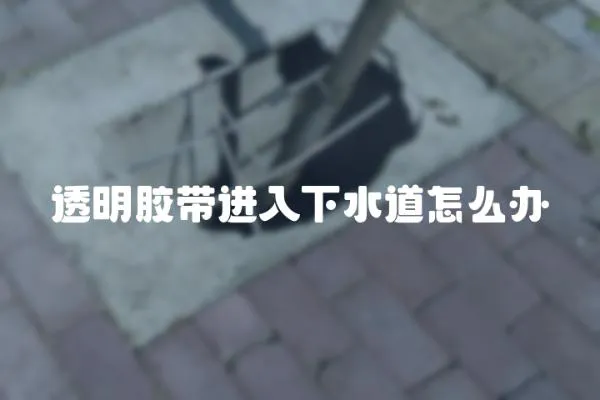 透明膠帶進入下水道怎么辦