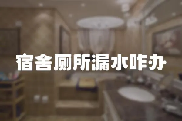 宿舍廁所漏水咋辦