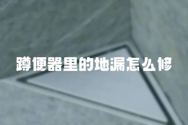 蹲便器里的地漏怎么修