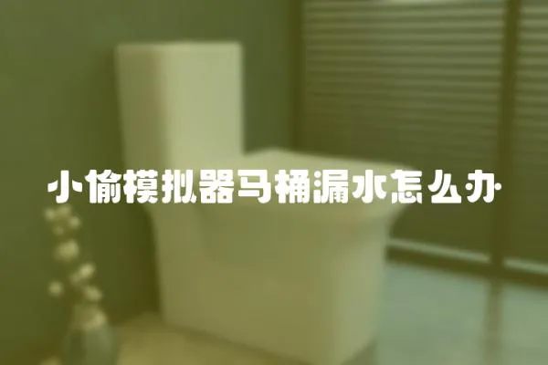 小偷模擬器馬桶漏水怎么辦