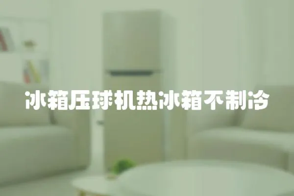 冰箱壓球機熱冰箱不制冷