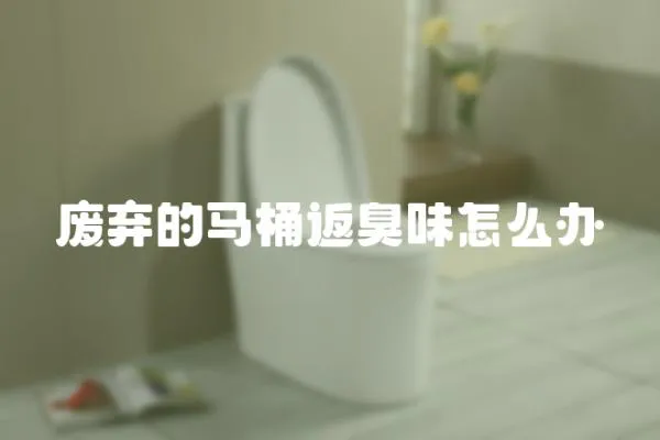 廢棄的馬桶返臭味怎么辦