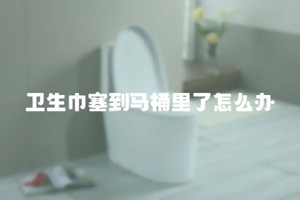 衛(wèi)生巾塞到馬桶里了怎么辦