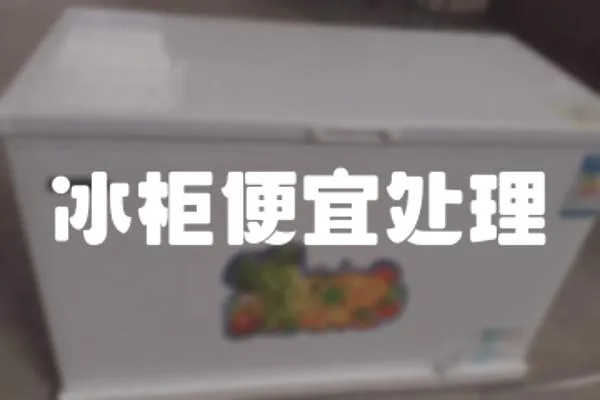 冰柜便宜處理