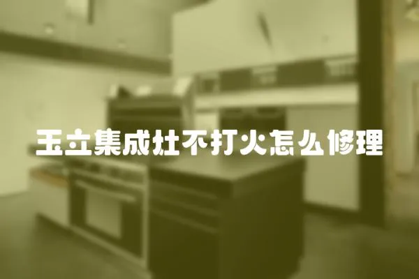 玉立集成灶不打火怎么修理