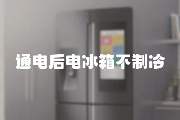 通電后電冰箱不制冷