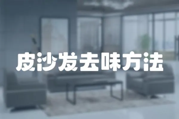 皮沙發去味方法