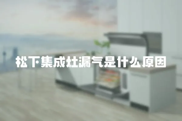 松下集成灶漏氣是什么原因