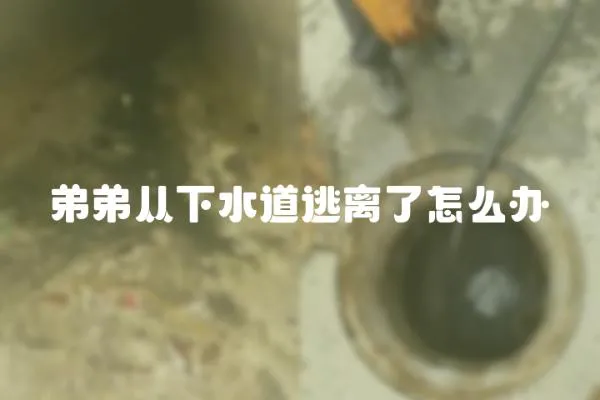 弟弟從下水道逃離了怎么辦