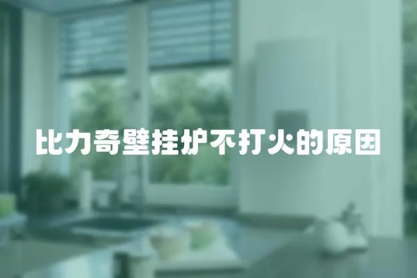 比力奇壁掛爐不打火的原因