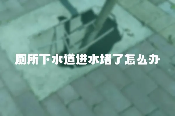 廁所下水道進水堵了怎么辦