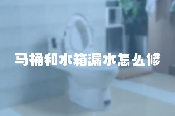 馬桶和水箱漏水怎么修