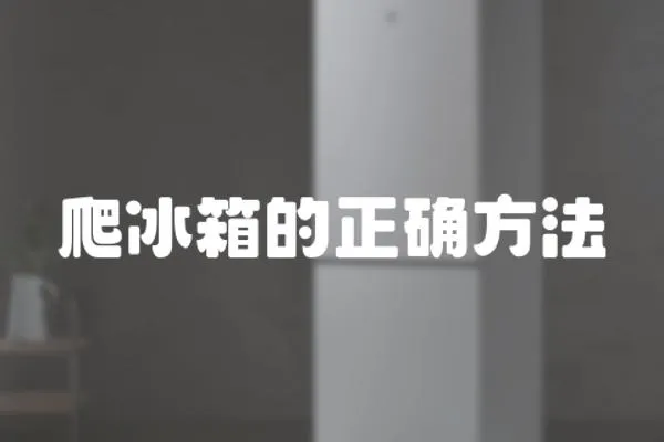 爬冰箱的正確方法