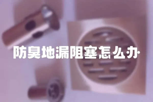 防臭地漏阻塞怎么辦