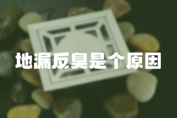 地漏反臭是個原因