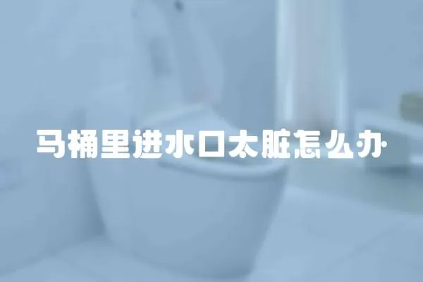 馬桶里進水口太臟怎么辦