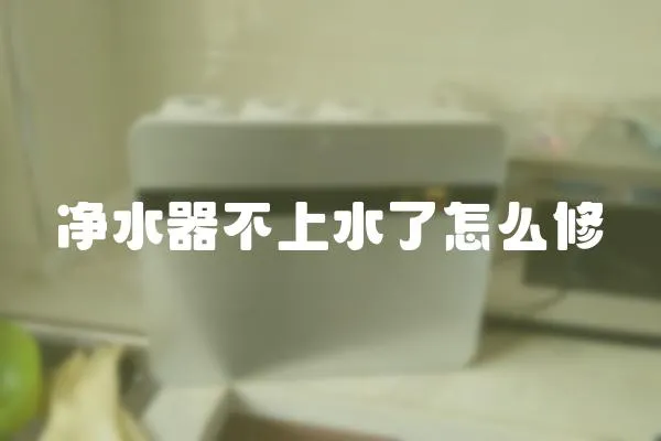 凈水器不上水了怎么修