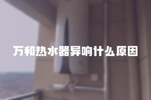 萬和熱水器異響什么原因