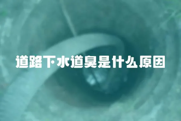 道路下水道臭是什么原因