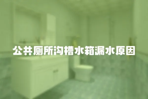 公共廁所溝槽水箱漏水原因
