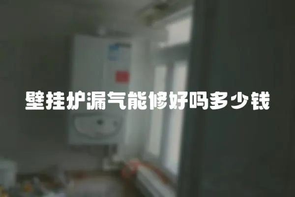 壁掛爐漏氣能修好嗎多少錢
